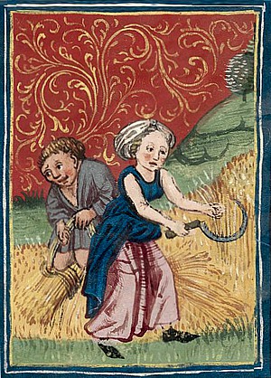 Abbildung aus dem 15. Jhd., Zürich, Codex Schürstab, Ms. C 54, p. 13r
