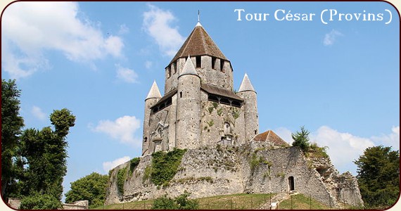 Tour César (Provins, Frankreich)