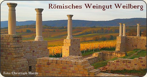 Römisches Weingut "Villa Rustica" Weilberg (Foto: Christoph Mardo 02.2020)