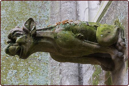 Wasserspeier (Gargoyle) an der Kathedrale von Bayeux