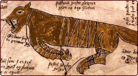 Der Fenris-Wolf auf einer isländischen Illustration aus dem 17. Jh.