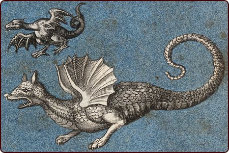 Two dragons from a scrapbook album containing cut-outs of animals and mythical beasts (circa 1670/1690)